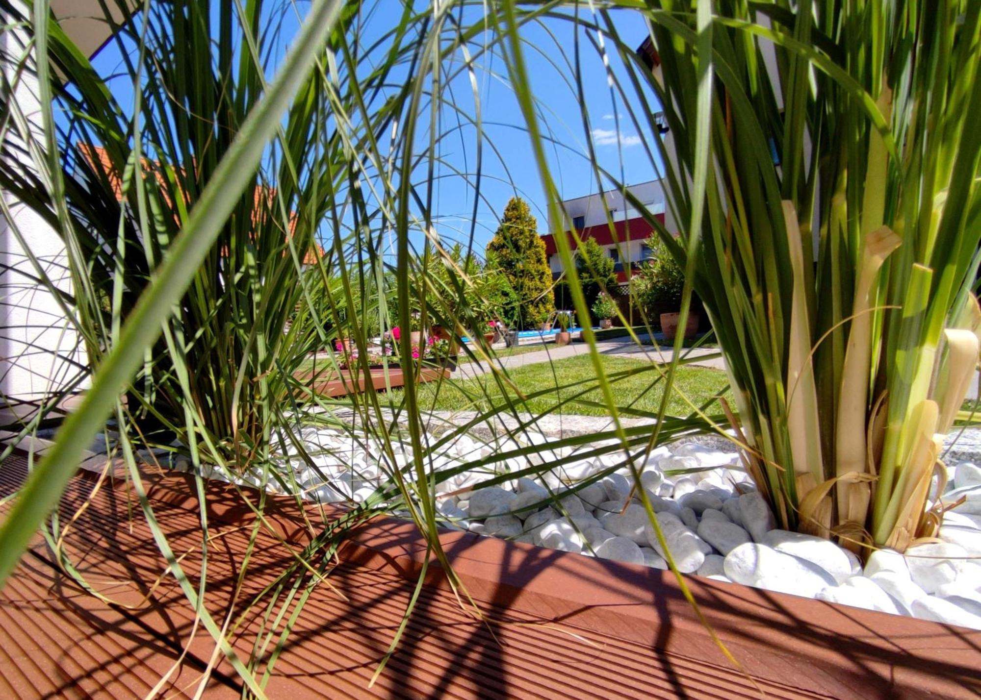 Appartement Ferienhaus Sonnenhain Sollenau Exteriér fotografie