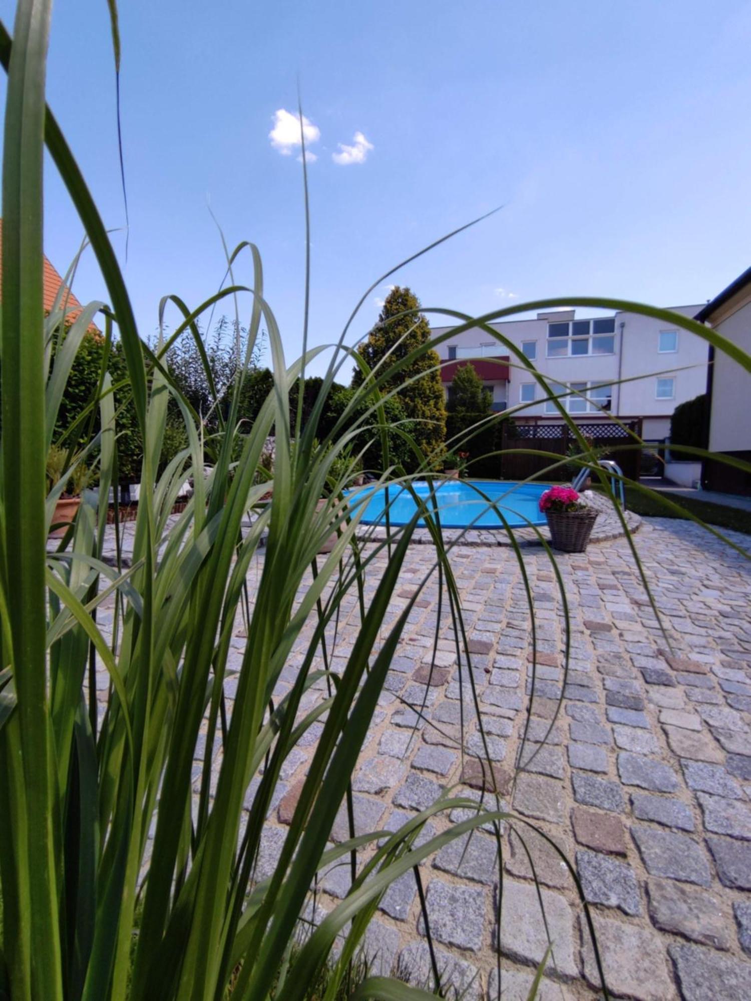 Appartement Ferienhaus Sonnenhain Sollenau Exteriér fotografie