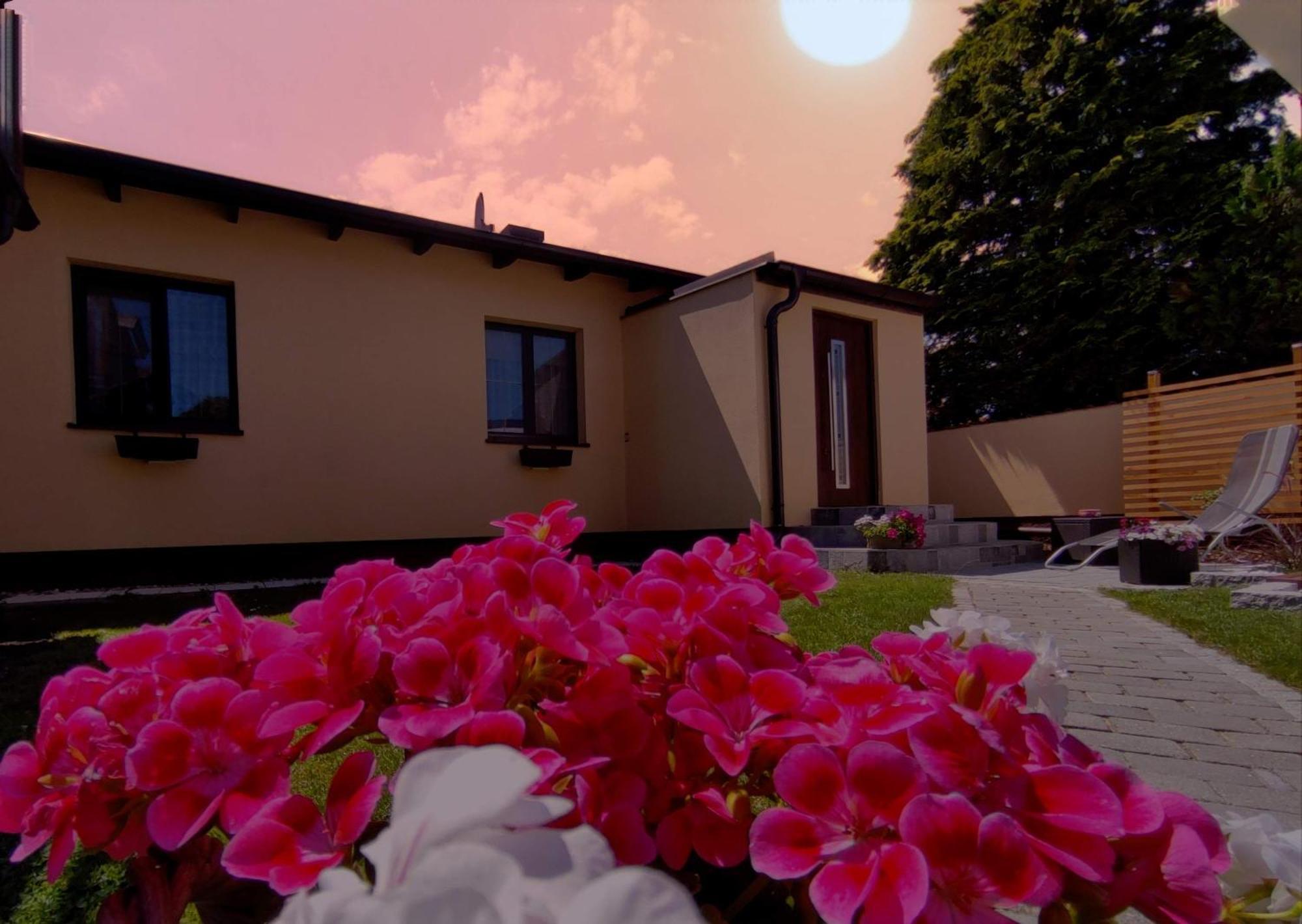Appartement Ferienhaus Sonnenhain Sollenau Exteriér fotografie