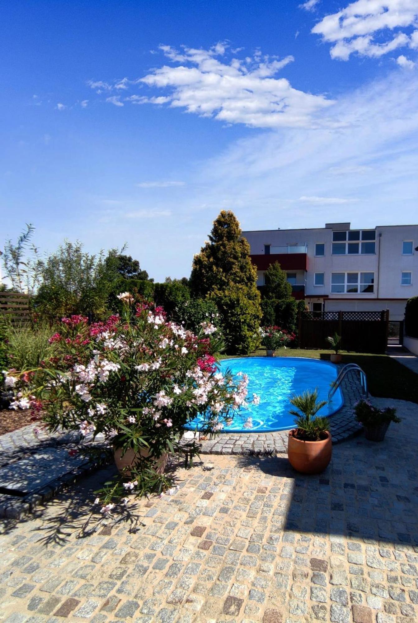 Appartement Ferienhaus Sonnenhain Sollenau Exteriér fotografie